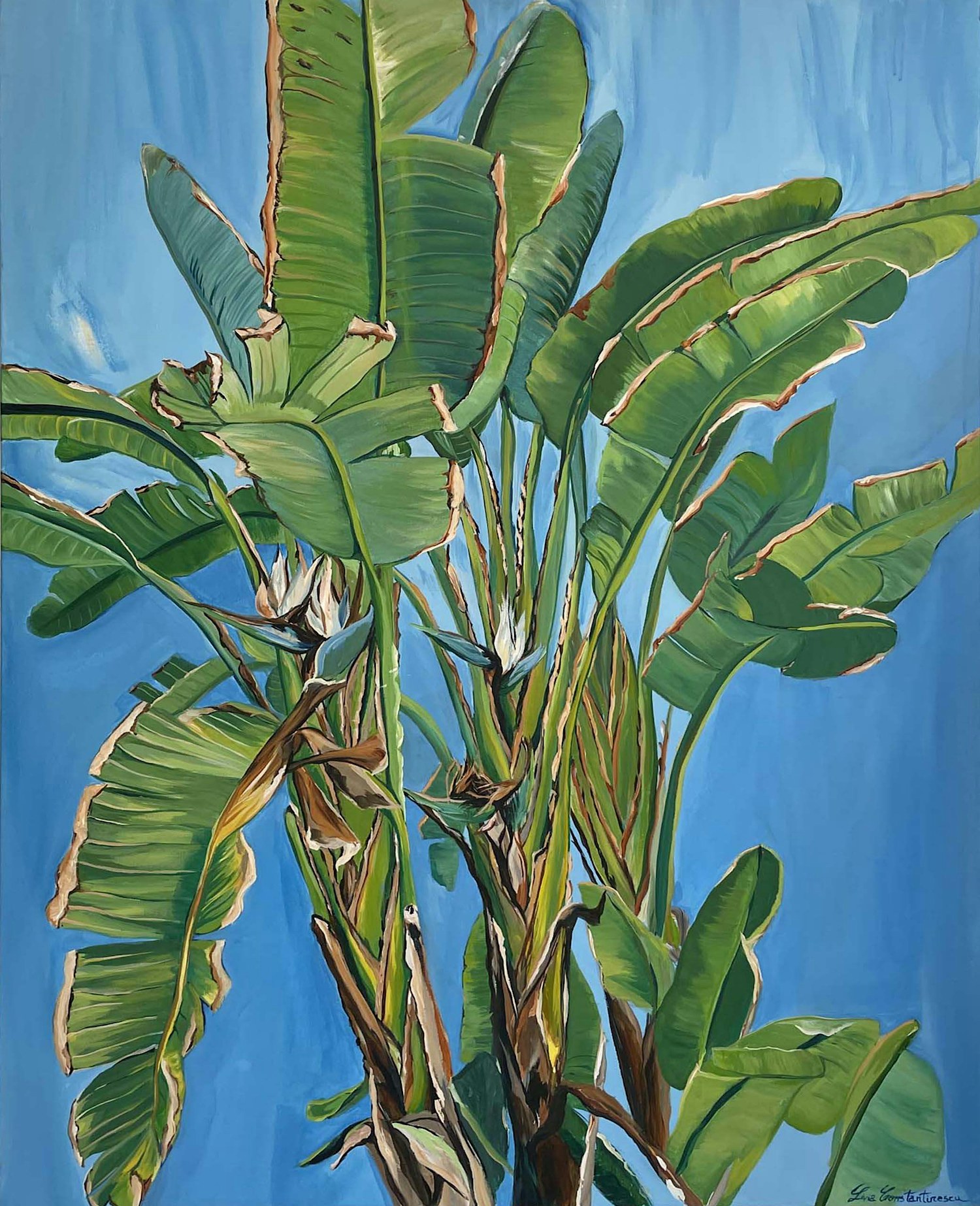 Livia Constantinescu Banana Leaf 30x40 LC 1903